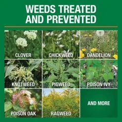 Vigoro 32 oz. 7,500 sq. ft. Spring Ready-to-Spray Concentrate Weed and Feed Lawn Fertilizer -Vigoro sales Store vigoro lawn fertilizers hg 52511 2 c3 1000