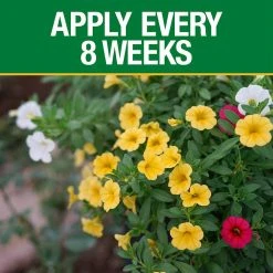 Vigoro 3.5 lb. All Season Bold Blooms Flowering Plant Food (15-30-15) -Vigoro sales Store vigoro plant food fertilizer 120232 1f 1000