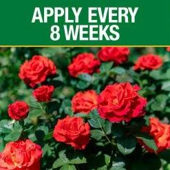 Vigoro 3.5 lb. All Season Rose Plant Food (12-6-10) -Vigoro sales Store vigoro plant food fertilizer 124250 1f 1000