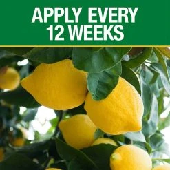 Vigoro 4.2 lb. All Season Fruit, Nut and Citrus Fertilizer Spikes (16-4-8) (15-Count) -Vigoro sales Store vigoro plant food fertilizer 154306 1f 1000