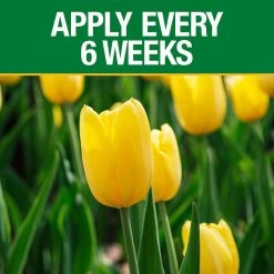 Vigoro 3.5 lb. All Season Bulb Fuel Plant Food (9-9-6) 9 Vigoro 3.5 lb. All Season Bulb Fuel Plant Food (9-9-6) -Vigoro sales Store vigoro plant food fertilizer 156269 1f 1000