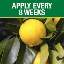 Vigoro 20 lbs. All Season Citrus and Avocado Plant Food Dry Fertilizer (6-4-6) 9 Vigoro 20 lbs. All Season Citrus and Avocado Plant Food Dry Fertilizer (6-4-6) -Vigoro sales Store vigoro plant food fertilizer 160327 1f 1000