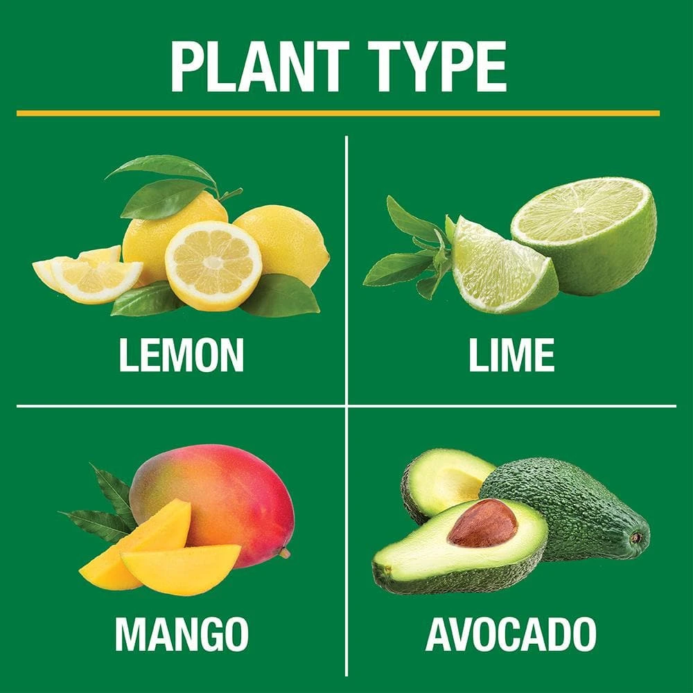 Vigoro 20 lbs. All Season Citrus and Avocado Plant Food Dry Fertilizer (6-4-6) 4 Vigoro 20 lbs. All Season Citrus and Avocado Plant Food Dry Fertilizer (6-4-6) - Image 2