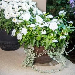 Vigoro 12 in. Plastic Deep Planter Liner 8 Vigoro 12 in. Plastic Deep Planter Liner -Vigoro sales Store vigoro plant liners dl12vg 4f 1000