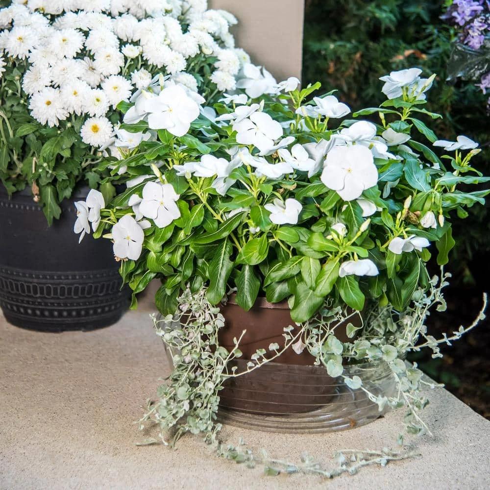 Vigoro 12 in. Plastic Deep Planter Liner 5 Vigoro 12 in. Plastic Deep Planter Liner - Image 3