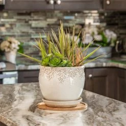 Vigoro 10 in. Bamboo Plant Saucer -Vigoro sales Store vigoro planter saucers bbs10vg 1f 1000