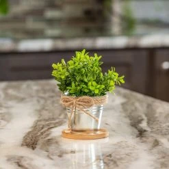 Vigoro 4 in. Bamboo Plant Saucer 11 Vigoro 4 in. Bamboo Plant Saucer -Vigoro sales Store vigoro planter saucers bbs4vg 1f 1000