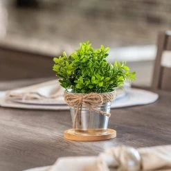 Vigoro 4 in. Bamboo Plant Saucer 13 Vigoro 4 in. Bamboo Plant Saucer -Vigoro sales Store vigoro planter saucers bbs4vg fa 1000