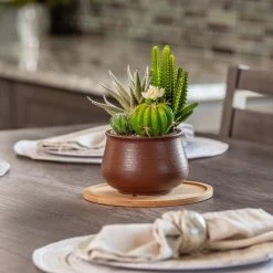 Vigoro 8 in. Bamboo Plant Saucer -Vigoro sales Store vigoro planter saucers bbs8vg 1f 1000