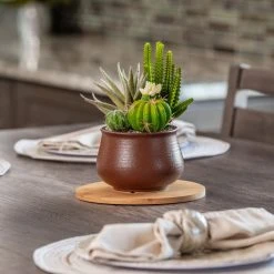 Vigoro 8 in. Bamboo Plant Saucer -Vigoro sales Store vigoro planter saucers bbs8vg 44 1000