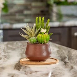 Vigoro 8 in. Bamboo Plant Saucer -Vigoro sales Store vigoro planter saucers bbs8vg fa 1000