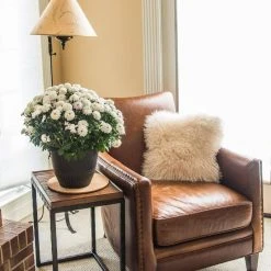 Vigoro 10 in. Cork Mat -Vigoro sales Store vigoro planter saucers cm10phbdi 1f 1000