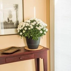 Vigoro 10 in. Cork Mat -Vigoro sales Store vigoro planter saucers cm10phbdi 4f 1000