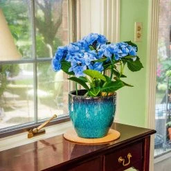 Vigoro 10 in. Cork Mat -Vigoro sales Store vigoro planter saucers cm10phbdi c3 1000