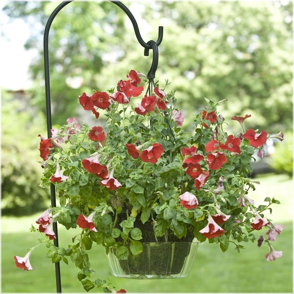 Vigoro Drip Catcher Hanging Saucer 4 Vigoro Drip Catcher Hanging Saucer - Image 2