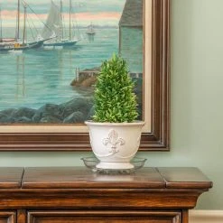 Vigoro 10 in. Heavy Duty Plant Saucer -Vigoro sales Store vigoro planter saucers sp10vg 1f 1000