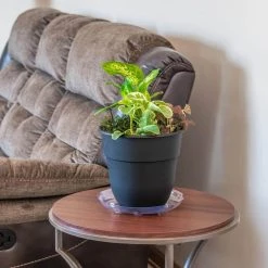 Vigoro 10 in. Heavy Duty Plant Saucer -Vigoro sales Store vigoro planter saucers sp10vg 4f 1000