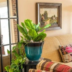 Vigoro 12 in. Heavy Duty Plant Saucer -Vigoro sales Store vigoro planter saucers sp12vg 44 1000