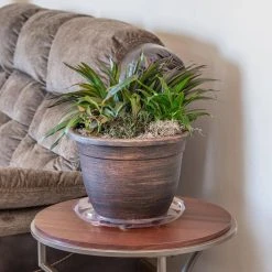 Vigoro 14 in. Heavy Duty Plant Saucer 12 Vigoro 14 in. Heavy Duty Plant Saucer -Vigoro sales Store vigoro planter saucers sp14vg 44 1000