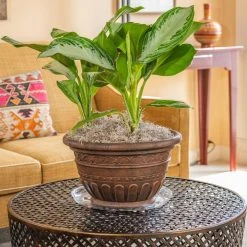 Vigoro 14 in. Heavy Duty Plant Saucer 10 Vigoro 14 in. Heavy Duty Plant Saucer -Vigoro sales Store vigoro planter saucers sp14vg 4f 1000