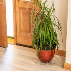 Vigoro 16 in. Heavy Duty Planter Saucer -Vigoro sales Store vigoro planter saucers sp16vg 44 1000