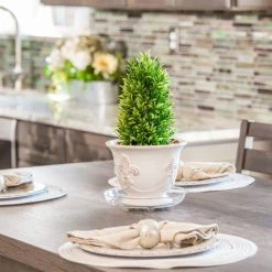 Vigoro 6 in. Heavy Duty Plant Saucer -Vigoro sales Store vigoro planter saucers sp6vg 1f 1000