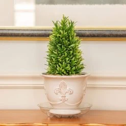 Vigoro 8 in. Heavy Duty Plant Saucer -Vigoro sales Store vigoro planter saucers sp8vg 1f 1000