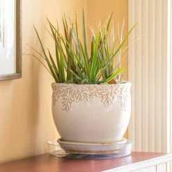 Vigoro 10 in. Plastic Plant Saucer -Vigoro sales Store vigoro planter saucers vs10vg fa 1000