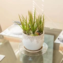 Vigoro 12 in. Plastic Plant Saucer -Vigoro sales Store vigoro planter saucers vs12vg 44 1000