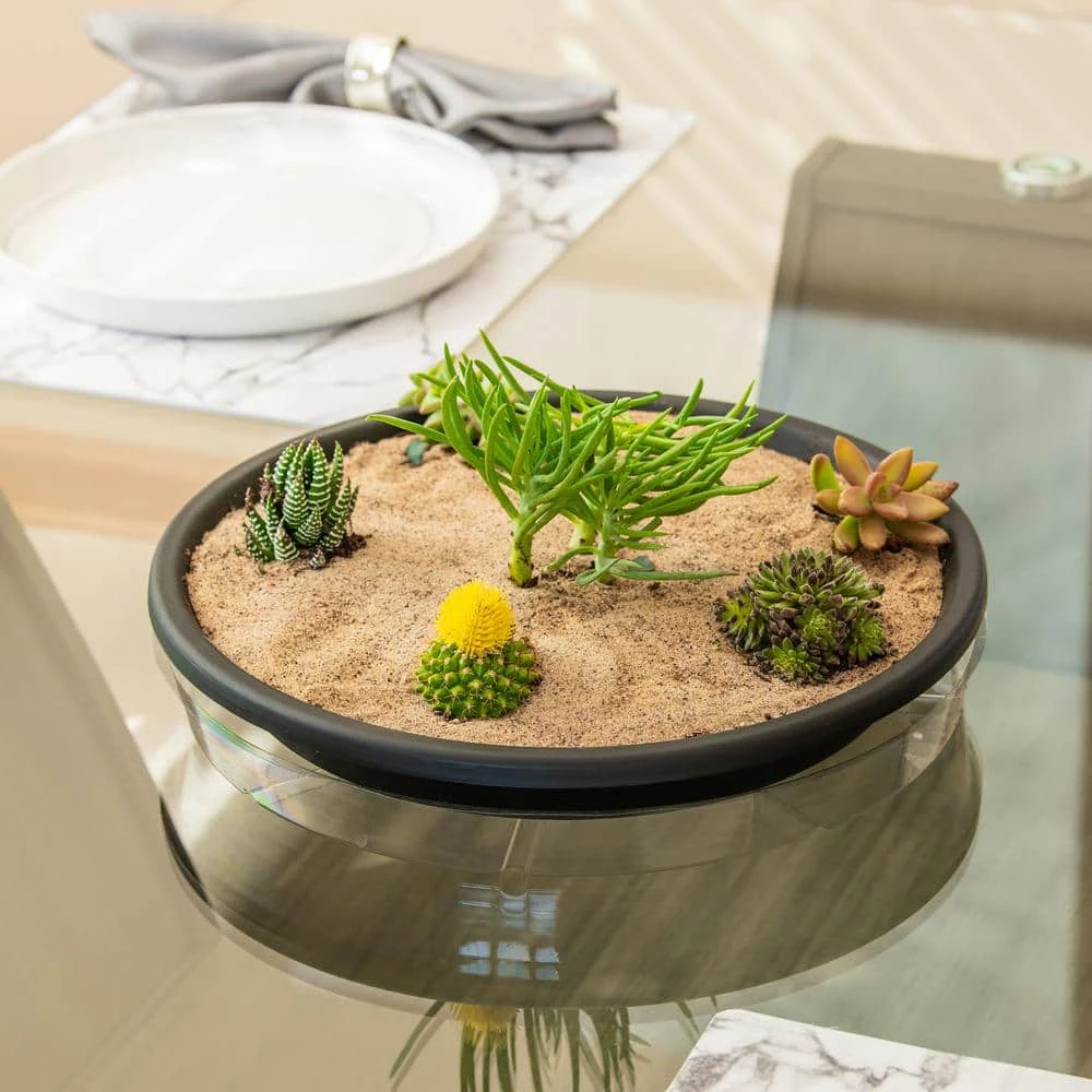 Vigoro 14 in. Plastic Plant Saucer 4 Vigoro 14 in. Plastic Plant Saucer - Image 2