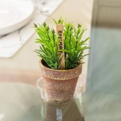 Vigoro 4 in. Plastic Plant Saucer -Vigoro sales Store vigoro planter saucers vs4vg 1f 1000