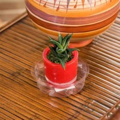 Vigoro 4 in. Plastic Plant Saucer -Vigoro sales Store vigoro planter saucers vs4vg 4f 1000