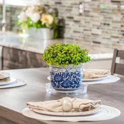 Vigoro 6 in. Plastic Plant Saucer 9 Vigoro 6 in. Plastic Plant Saucer -Vigoro sales Store vigoro planter saucers vs6vg 1f 1000