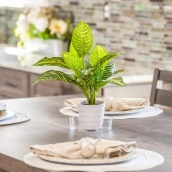 Vigoro 6 in. Plastic Plant Saucer 8 Vigoro 6 in. Plastic Plant Saucer -Vigoro sales Store vigoro planter saucers vs6vg 4f 1000