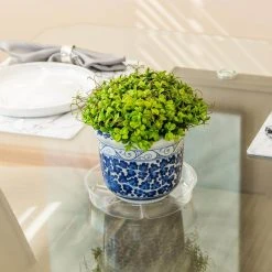 Vigoro 8 in. Plastic Plant Saucer 13 Vigoro 8 in. Plastic Plant Saucer -Vigoro sales Store vigoro planter saucers vs8vg 4f 1000