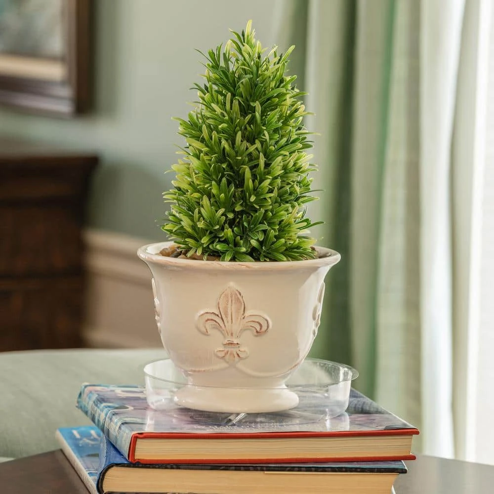 Vigoro 8 in. Plastic Plant Saucer 4 Vigoro 8 in. Plastic Plant Saucer - Image 2