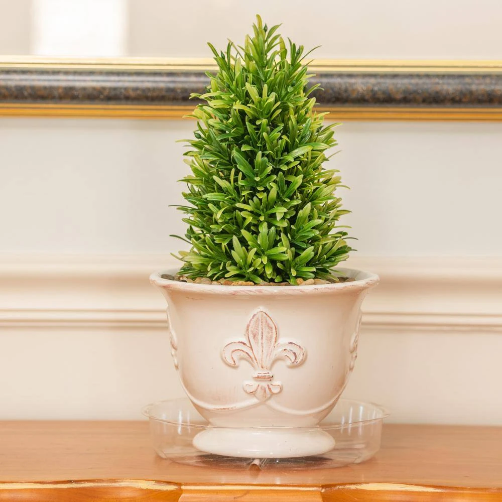 Vigoro 8 in. Plastic Plant Saucer 9 Vigoro 8 in. Plastic Plant Saucer - Image 7