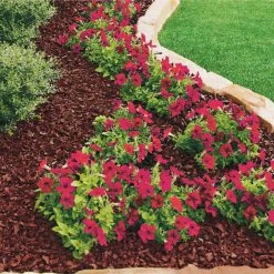 Vigoro 37.5 cu. ft. Red Recycled Rubber Mulch (25 Bags) -Vigoro sales Store vigoro rubber mulch gn15rd25 c3 1000