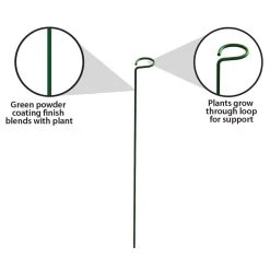 Vigoro 18 in. H x 1.50 in. W Steel Plant Prop -Vigoro sales Store vigoro tomato cages 611872 hd 1f 1000