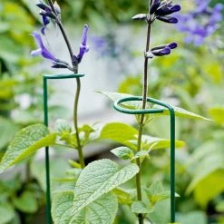 Vigoro 18 in. H x 1.50 in. W Steel Plant Prop -Vigoro sales Store vigoro tomato cages 611872 hd 44 1000