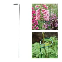 Vigoro 36 in. H x 2.24 in. W Metal Plant Prop -Vigoro sales Store vigoro tomato cages 613672 hd 44 1000