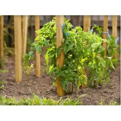 Vigoro 4 ft. Wooden Garden Stake -Vigoro sales Store vigoro tomato cages rc 84n 4f 1000