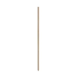 Vigoro 4 ft. Wooden Garden Stake