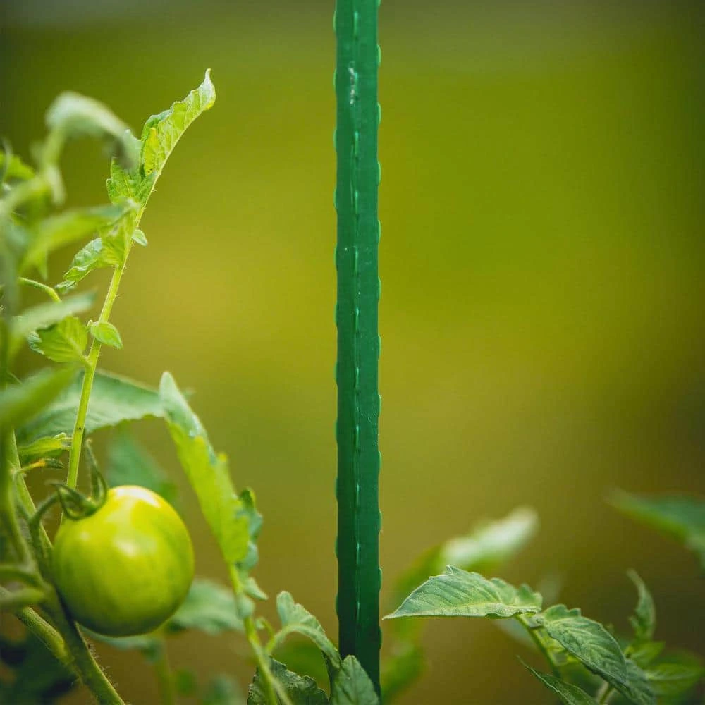 Vigoro 5 ft. Green Colored Steel Core Garden Stake 5 Vigoro 5 ft. Green Colored Steel Core Garden Stake - Image 3
