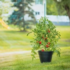 Vigoro 5 ft. Green Colored Steel Core Garden Stake 14 Vigoro 5 ft. Green Colored Steel Core Garden Stake -Vigoro sales Store vigoro tomato cages st5vg c3 1000