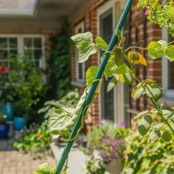 Vigoro 6 ft. Green Colored Heavy Duty Steel Core Garden Stakes -Vigoro sales Store vigoro tomato cages st6hdvg 4f 1000