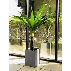 KANTE 19 in. H Square Weathered Concrete/Fiberglass Indoor Outdoor Modern Seamless Planter -Vigoro sales Store weathered concrete kante plant pots osf0007c c80021 2 44 1000