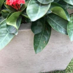 KANTE 31 in. L Rectangular Weathered Concrete/Fiberglass Indoor Outdoor Elegant Planter -Vigoro sales Store weathered concrete kante plant pots osf0104b c80021 2 fa 1000