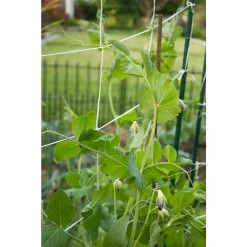 Vigoro 5 ft. x 8 ft. Sturdy Garden Trellis -Vigoro sales Store white vigoro tomato cages t008avg 1f 1000