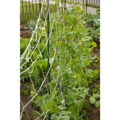 Vigoro 5 ft. x 8 ft. Sturdy Garden Trellis -Vigoro sales Store white vigoro tomato cages t008avg 44 1000
